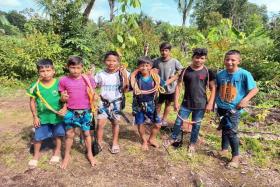 Young wild palm tree climbers at Ungurahual on the Nanay River